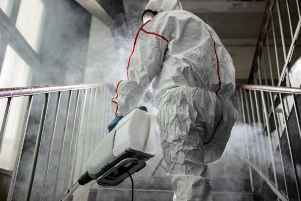 Best Dehumidification Services  in Scottsdale, AZ